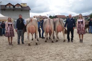 Rolf Stocker Sieger Betr.-Cup